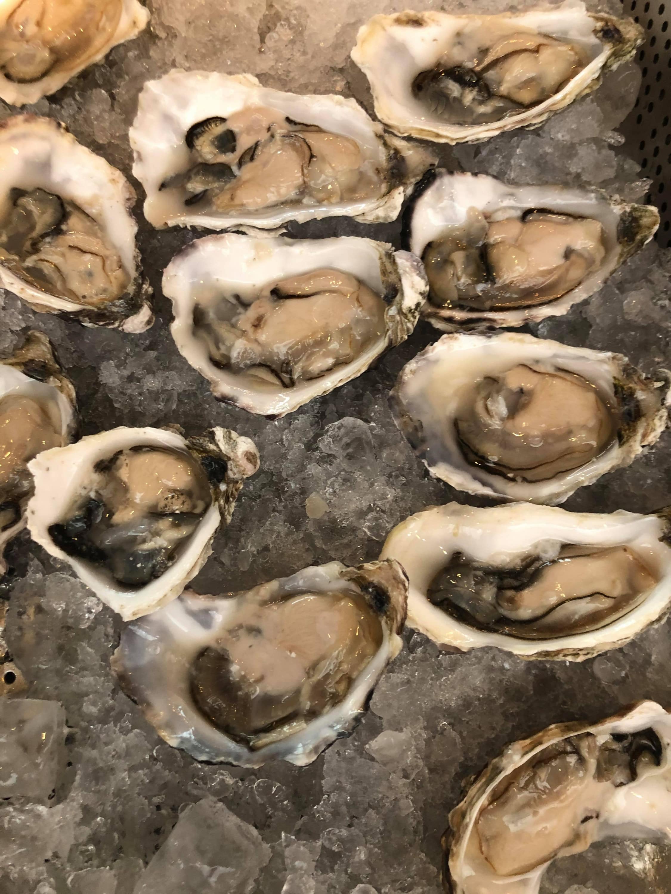 Champayne and Oysters at The Greenhouse at Wadswick Green