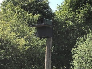 Wadswick Green Residents Owl Stand