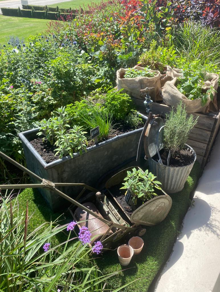 The Greenhouse at Wadswick Green Herb Garden