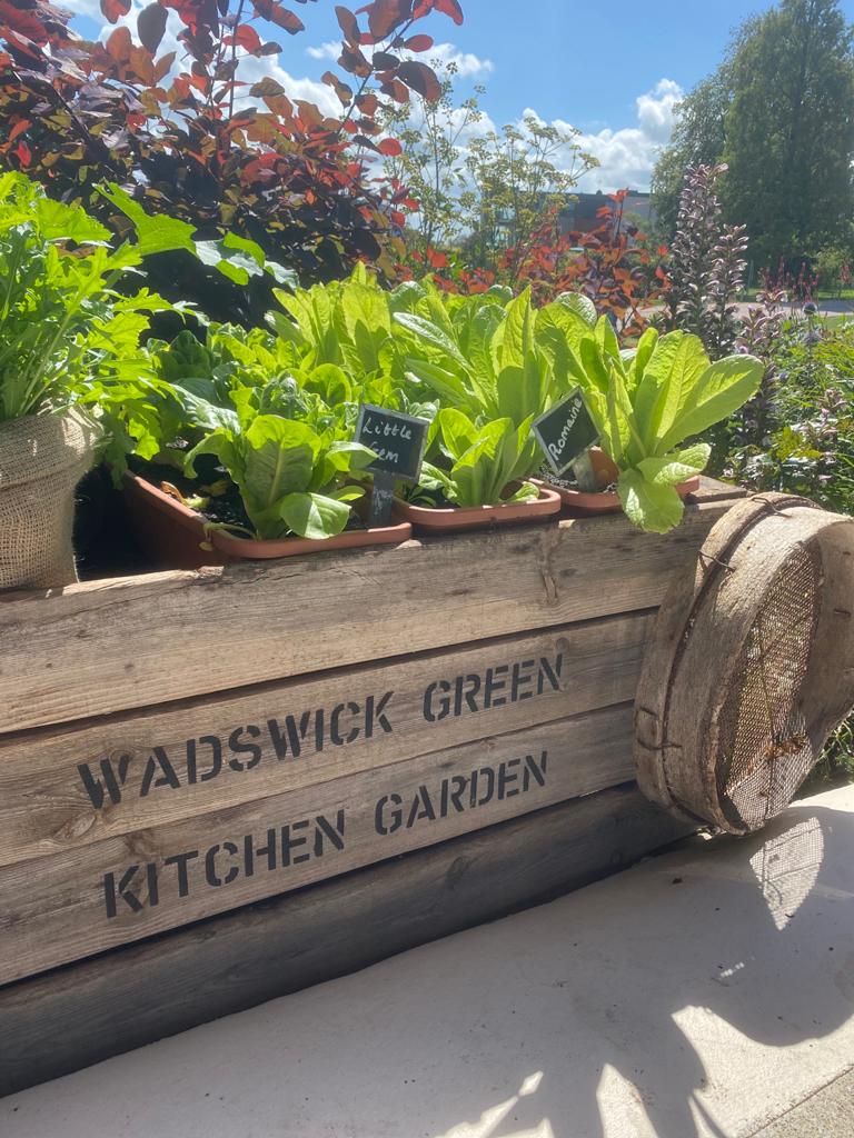 The Greenhouse at Wadswick Green Herb Garden