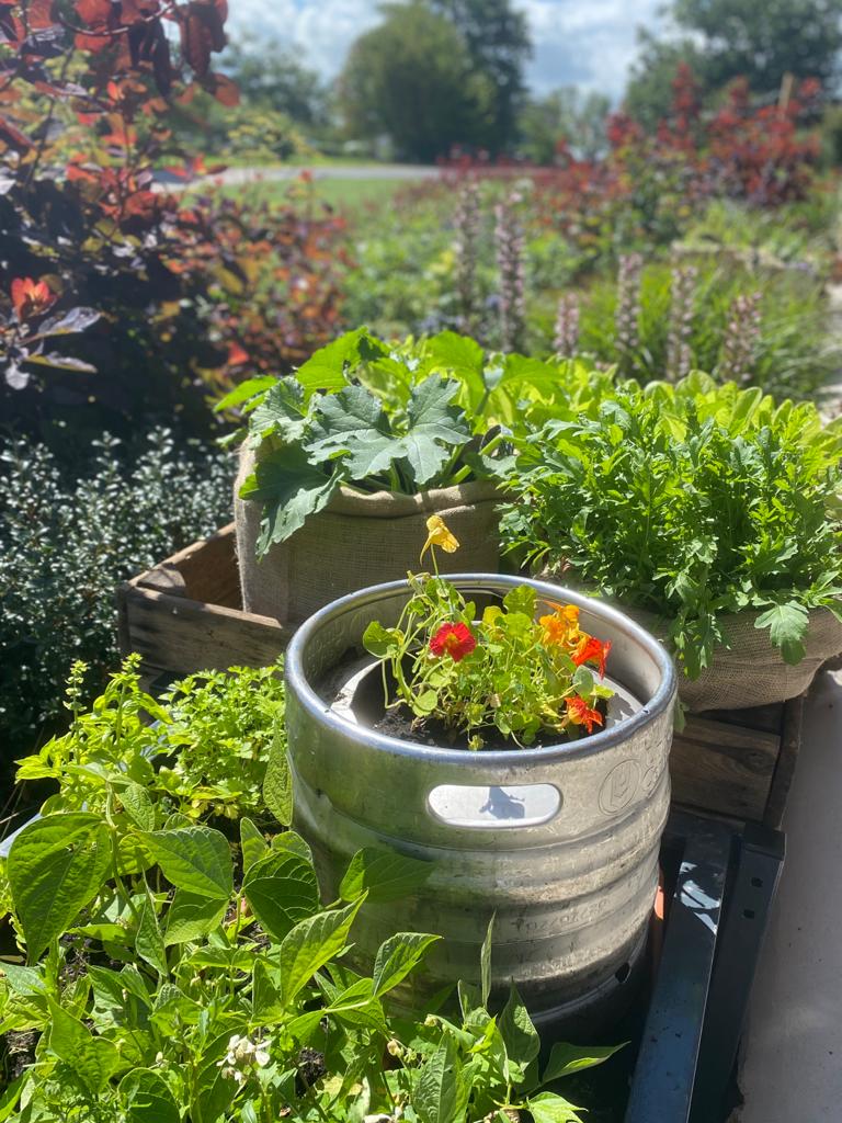 The Greenhouse at Wadswick Green Herb Garden